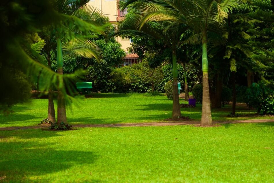 Gardens and Open Venues